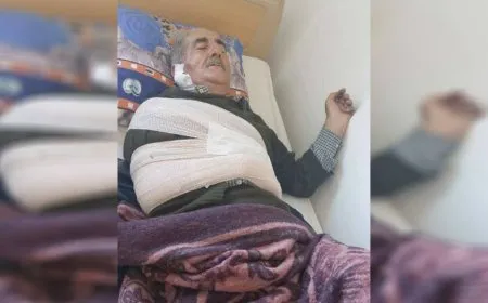 Çeteyan dewleta Tirk li 2 kesan dan