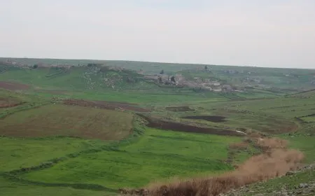 Xemla bihara Cizîrê