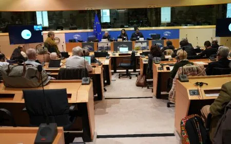 Konferansa PE: Li Îmraliyê hiqûqa gerdûnî hat taloqkirin