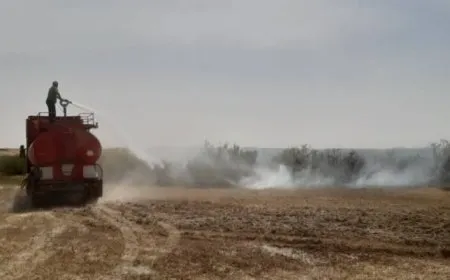 Şewata li daristanên Holê hat vemirandin