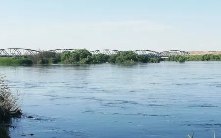 4 zarokan dema avjenî dikir xeniqîn