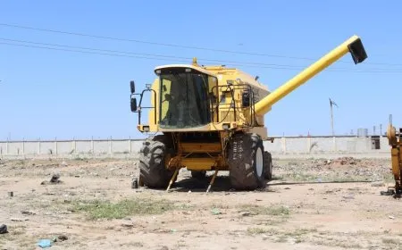 Li Reqayê amadekariyên çinînê û wergirtina genim tên kirin