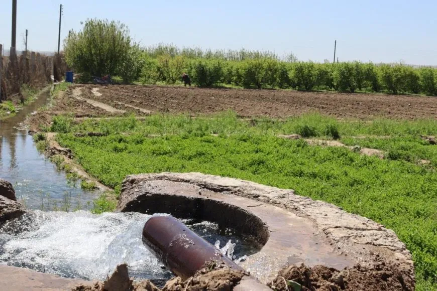 Bi dîmen; li kantona Reqayê bihar