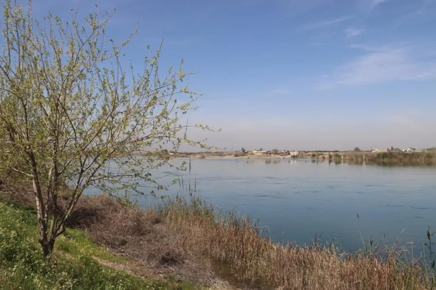 Bi dîmen; li kantona Reqayê bihar
