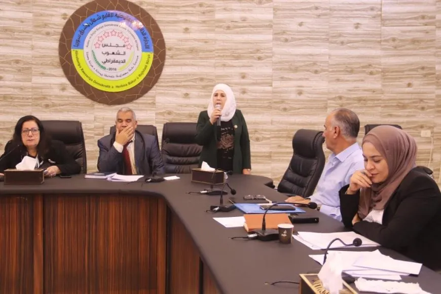 Meclisa Gelan a Demokratîk li ser 19 madeyan erê kir