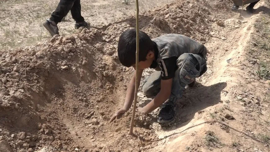 Bi boneya 4ˊê Nîsanê şitilgehek li Dêrazorê hat vekirin