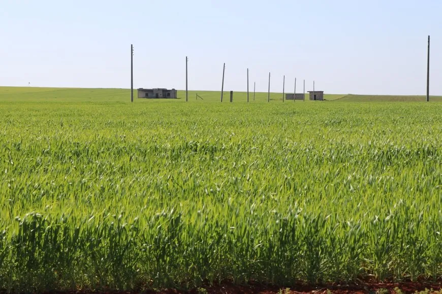 Bihara Bakur û Rojhilatê Sûriyeyê