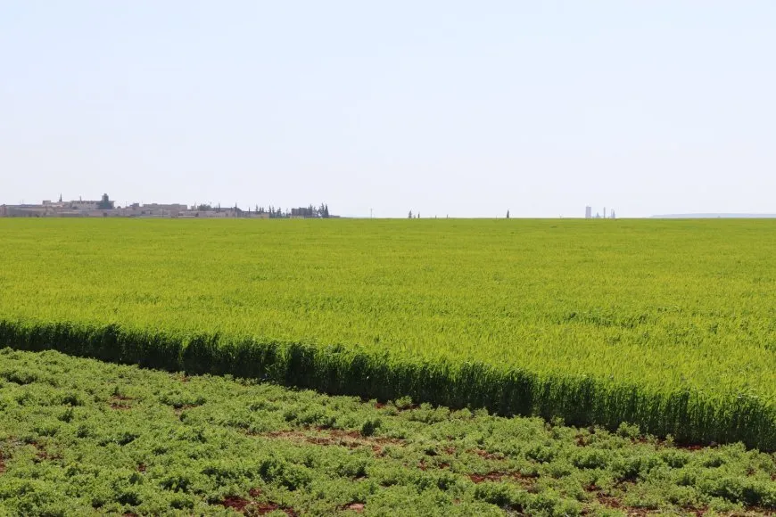 Bihara Bakur û Rojhilatê Sûriyeyê