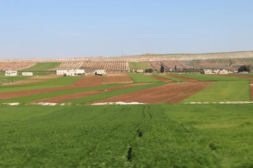 Bihara Bakur û Rojhilatê Sûriyeyê