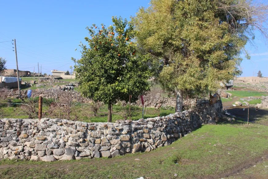 Bihara Bakur û Rojhilatê Sûriyeyê
