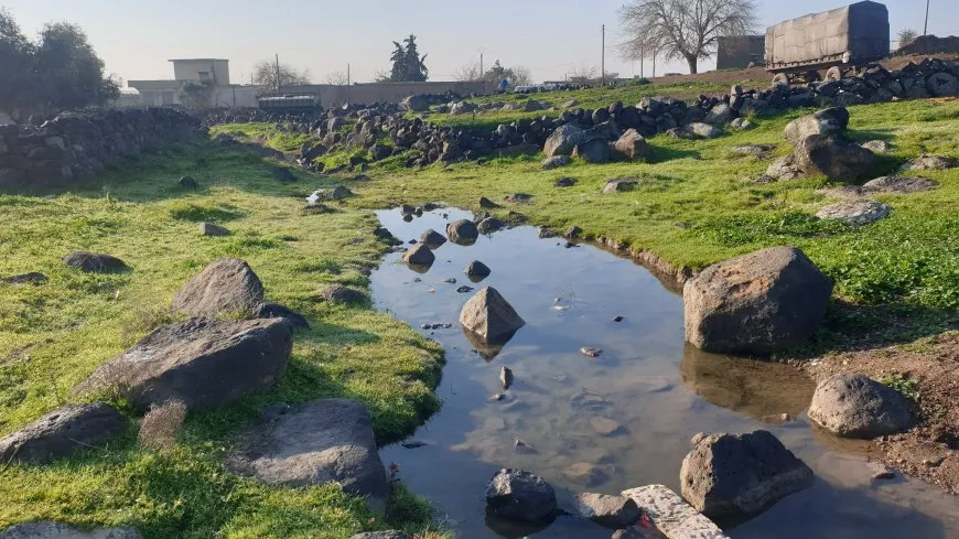 Bihara Bakur û Rojhilatê Sûriyeyê