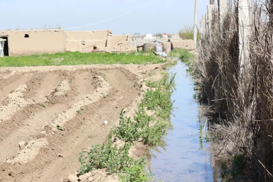 Cotkarên Reqayê ji bo çandina sezbeyên havînê amadekariyan dikin
