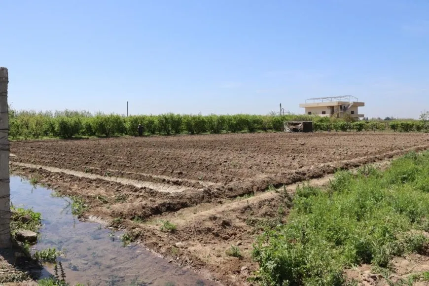 Cotkarên Reqayê ji bo çandina sezbeyên havînê amadekariyan dikin