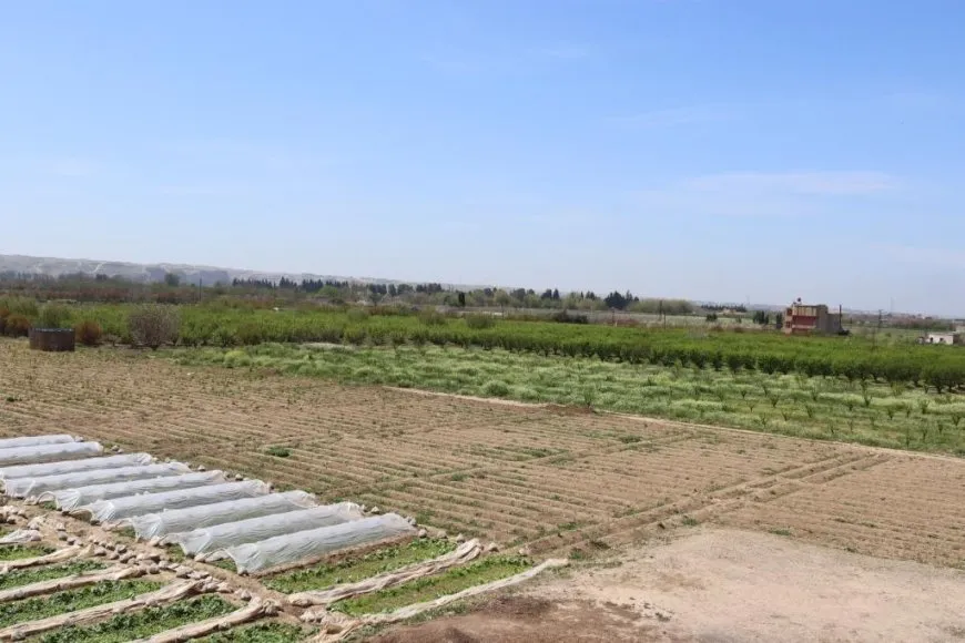 Cotkarên Reqayê ji bo çandina sezbeyên havînê amadekariyan dikin