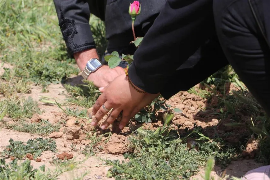 Kongra Star bi çandina gulan damezirandina KJK`ê pîroz kir