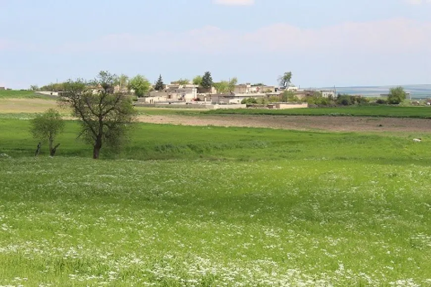 Şênî gundê  xwe hêşîn dikin