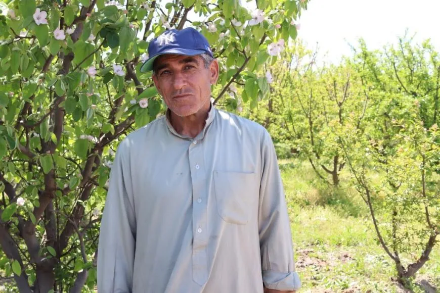 Li Reqayê aliyekî rêgeza xwetêrkirinê; çandina darên berhemdar 