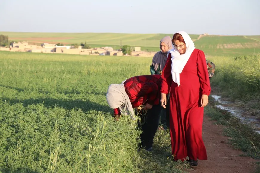 Giyanê hevkariyê 6 jin kirin hevkarên kooperatîfekê