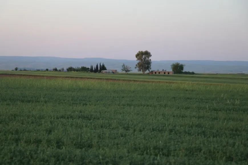 Giyanê hevkariyê 6 jin kirin hevkarên kooperatîfekê