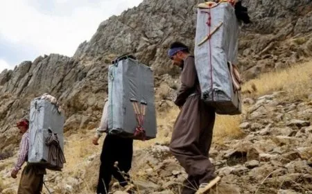 Hêzên rejîma Îranê kolberek din qetilkirin