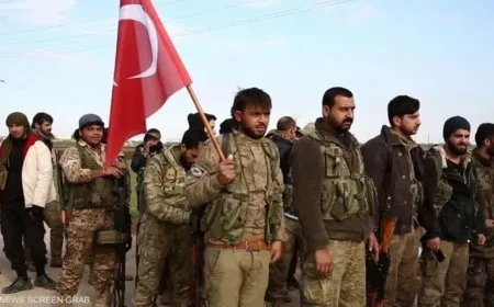 Dewleta Tirk çeteyan dişîne Nîjerê
