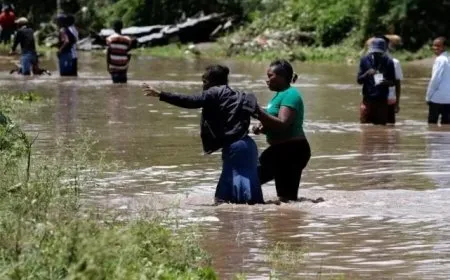 Li Kenyayê ji ber lehiyê 257 kesan jiyana xwe ji dest dan