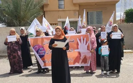Rêxistinên jinan soza bilindkirina têkoşînê ya tundiya li ser jinan dan