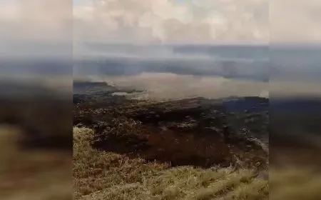 Li gundekî Tirbespiyê agir bi zeviyê ceh ket