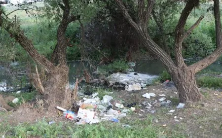 Seyrangehan vediguherînin zibilgehan