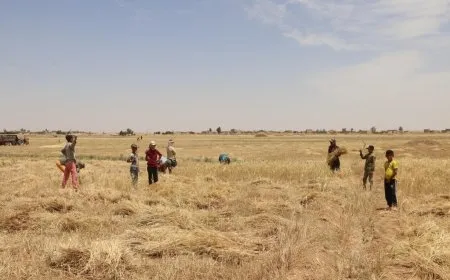 Li Dêrazorê bi paletiyê re kevneşopên berê zindî dibin