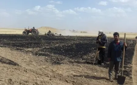 Li Dirbêsiyê 10 donim zevî şewitîn