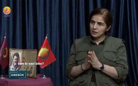 Çîgdem Dogû: Eger jin bi rêxistinî tevbigerin wê karibin sîstema dewletê ji holê rakin