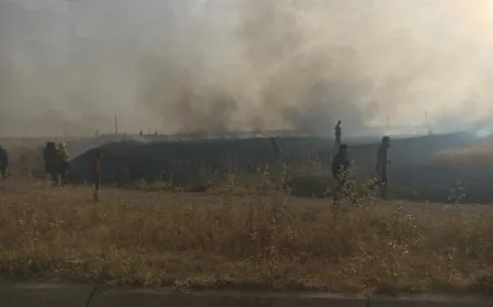 Tîmên agirkujiyê şewata li Tirbespiyê vemirand