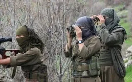 ‘HPG hebûna gelên Kurdistanê temsîl dike’