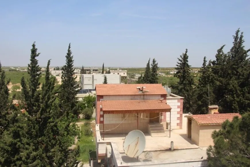 Fistiqên helebî rewşa aborî ya gund guherand