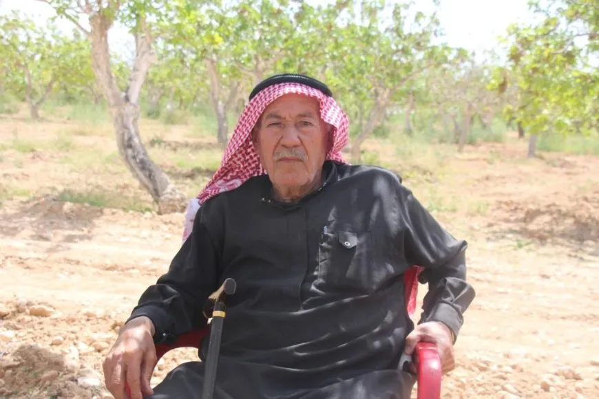 Fistiqên helebî rewşa aborî ya gund guherand