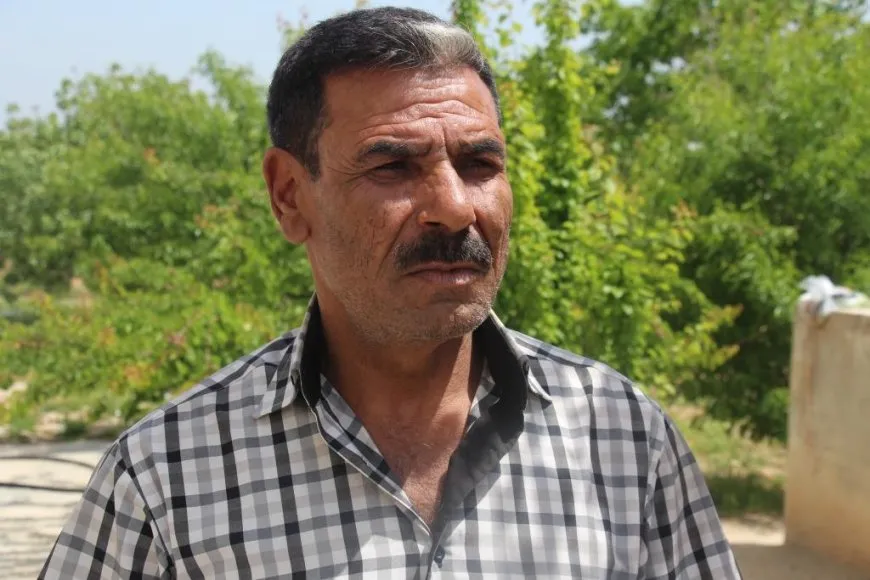Fistiqên helebî rewşa aborî ya gund guherand