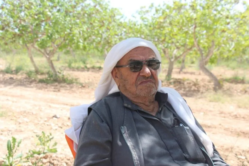 Fistiqên helebî rewşa aborî ya gund guherand