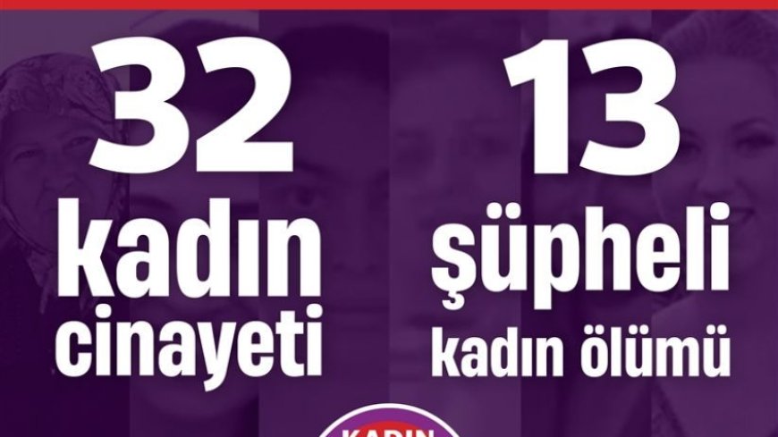 KCDP задокументировала 45 убийств женщин в Турции