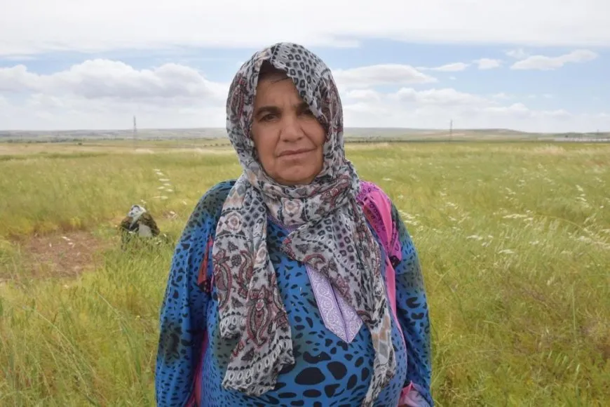Demsala rakirina berhemên çandiniyê dest pê kir