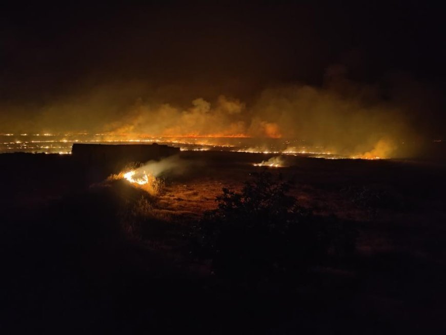 Los ocupantes queman 200 hectáreas de campos agrícolas y 3.000 olivos en Manbij