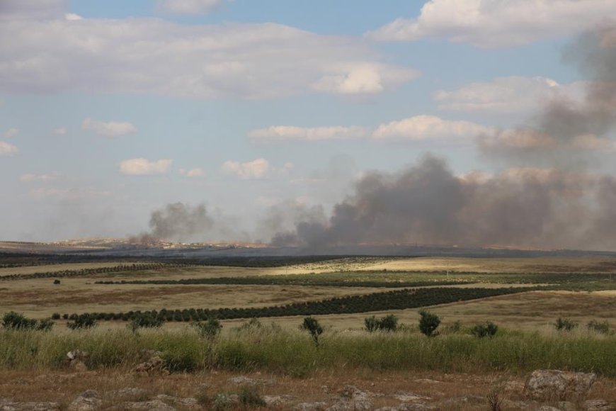 Di êrişa ser Minbicê de 200 hektar erdê çandiniyê û 3 hezar zeytun şewitîn