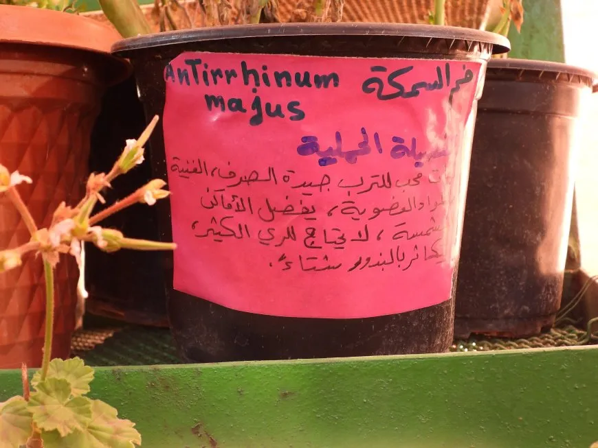 Pêşangeha 3ˊyemîn a Kulîlkan hat vekirin