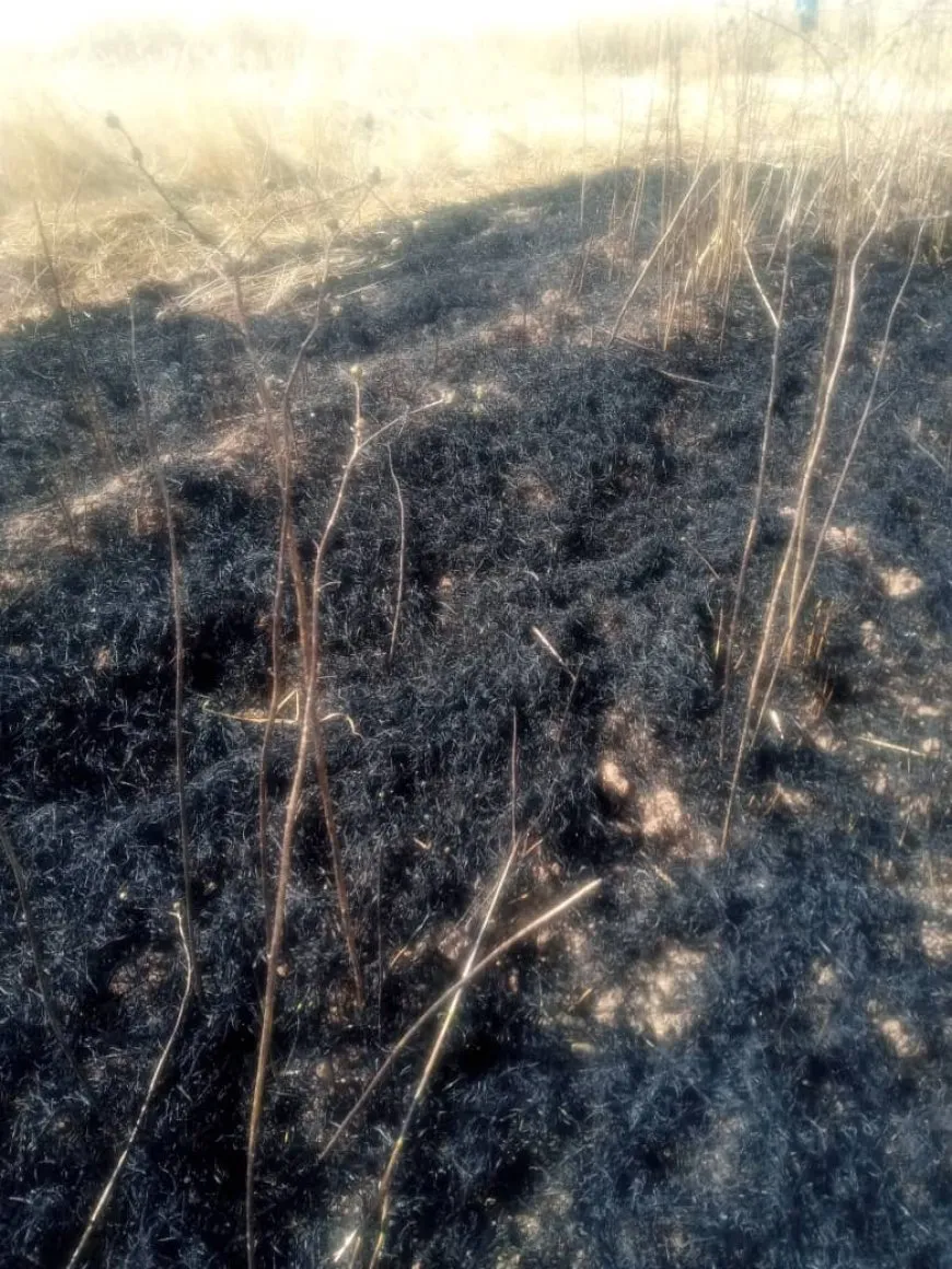 Tîmên awarte şewatên li Hesekê û Çilaxa kontrol kirin