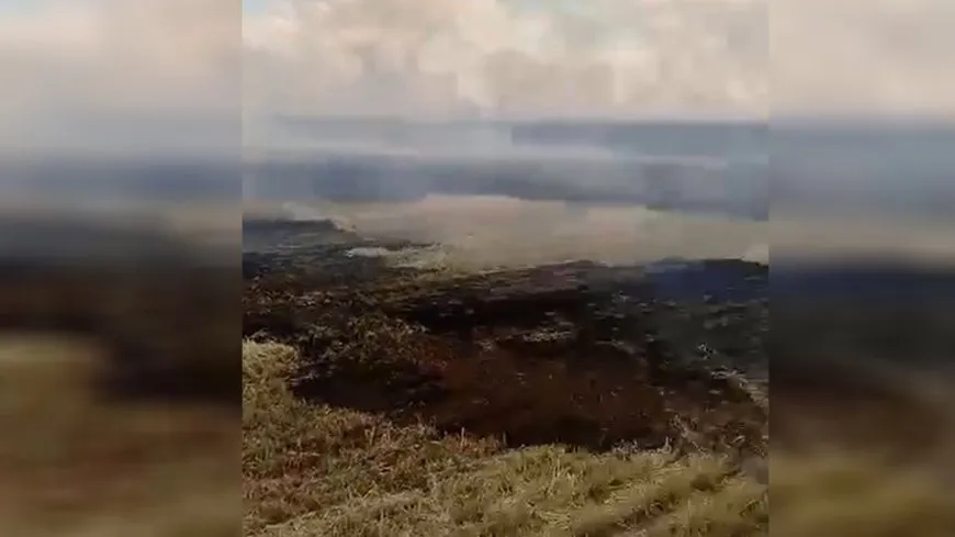 Extinguido el incendio en un campo de maíz en el pueblo de El Hibês en Tirbespîyê