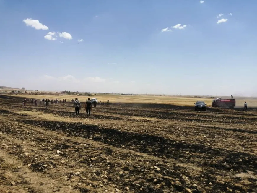Li Dirbêsiyê agir bi zeviyên çandiniyê ket