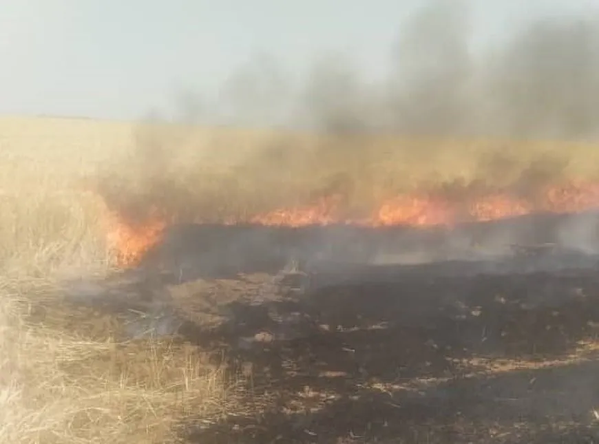 Agir bi zeviyên rojavayê Çilaxa ket