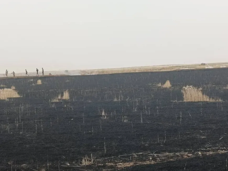 Li gundekî Çilaxa şewata zeviyên genim hat vemirandin