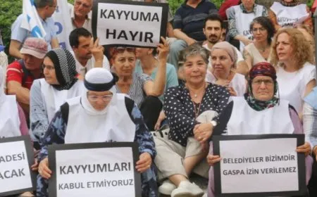 Li Colemêrgê bi awayek eşkere mêtingerî tê kirin - ZEKÎ AKIL 