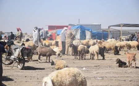 Bi hatina cejna Qurbanê re rewşa bazarên sewalan